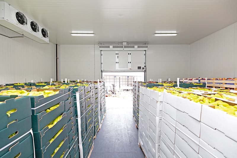 storage facility with crates of food